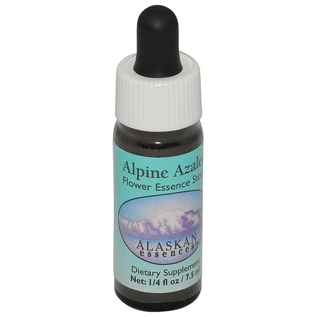 アルパインアゼリア[Alpine Azalea]