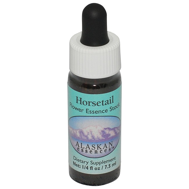 ホーステイル[Horsetail]