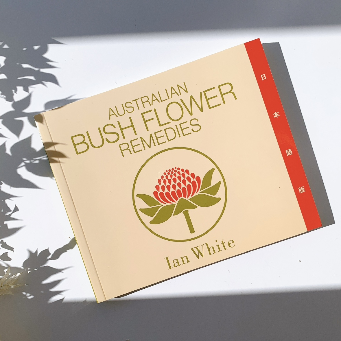 ブッシュ リファレンスブック日本語