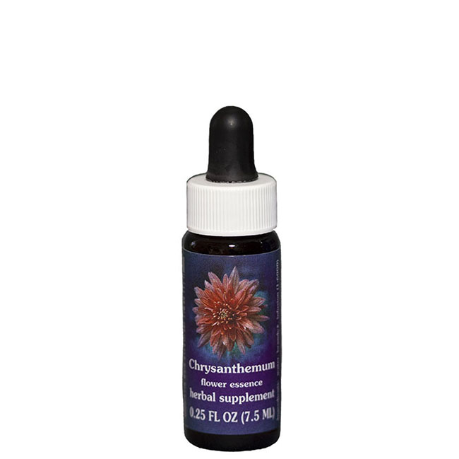 クリサンセマム7.5ml[Chrysanthemum]