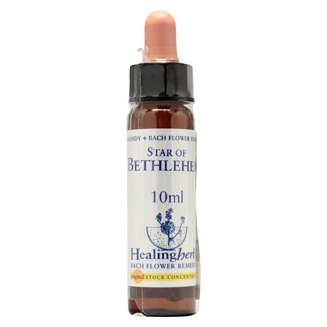 スターオブベツレヘム10ml[Star of Bethlehem]