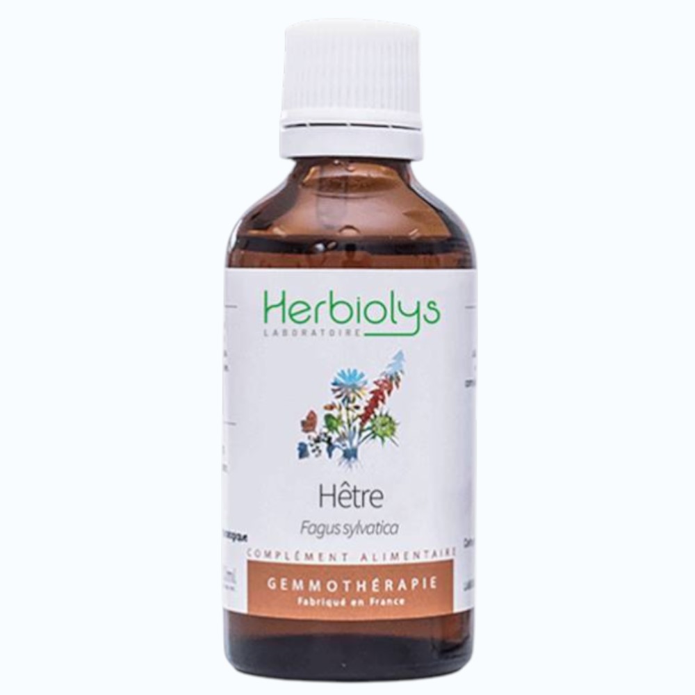 ヨーロッパブナ[Hetre]