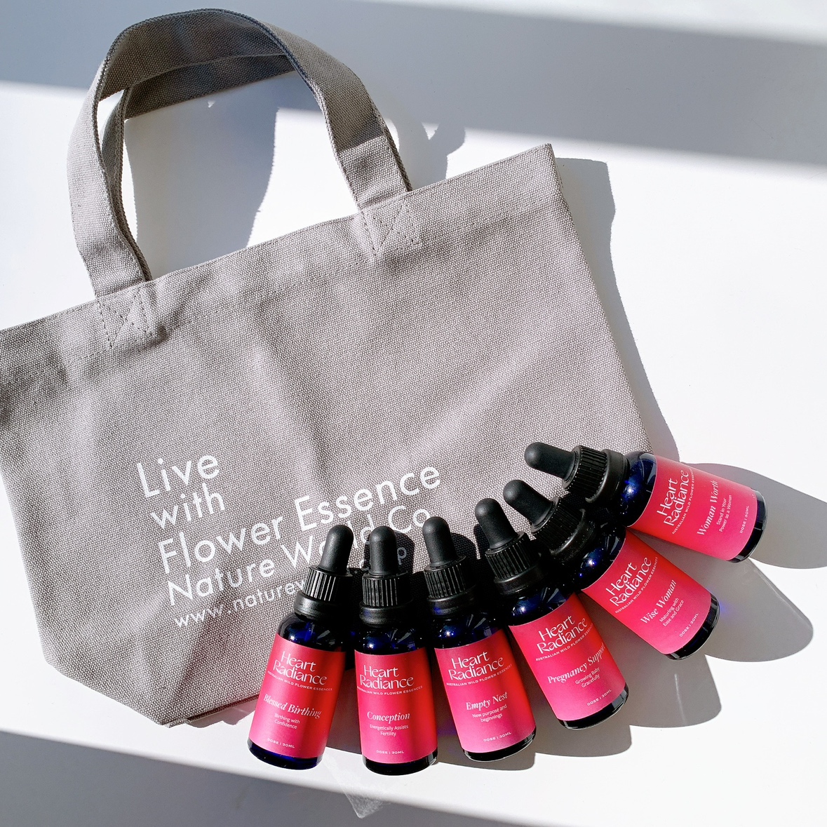 福袋2026(1C) 卸用