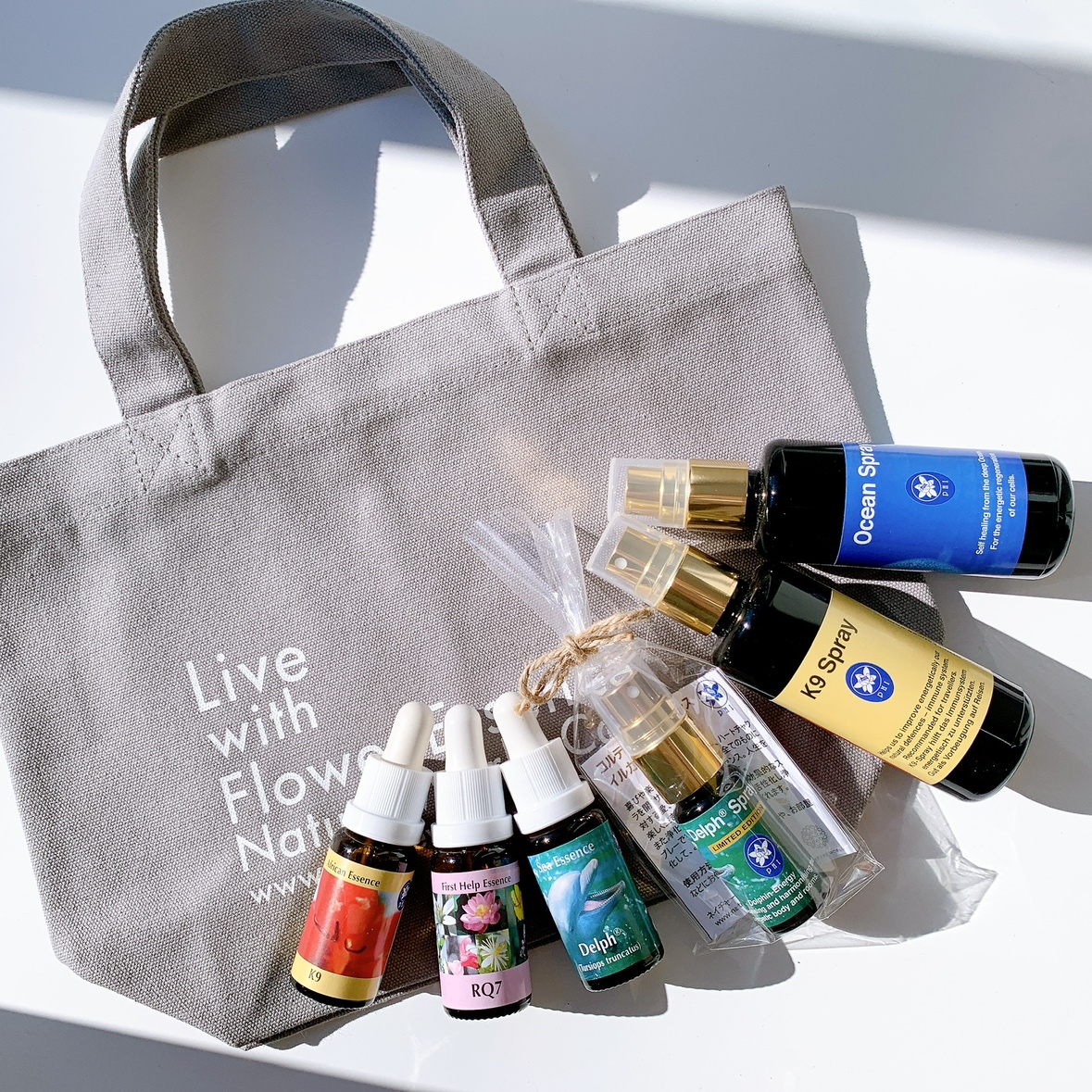 福袋2026(1I) 卸用