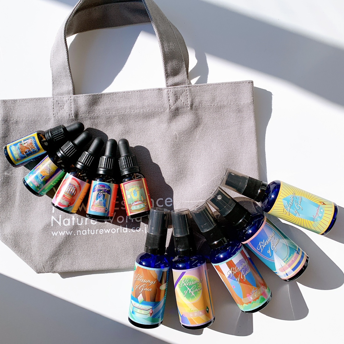 福袋2026(2A) 卸用