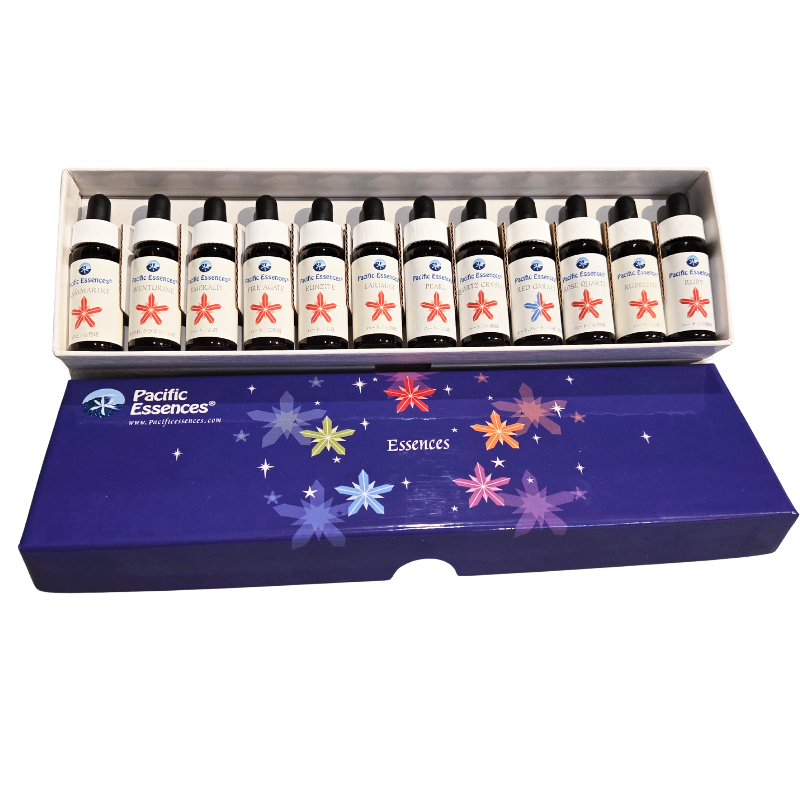 ファイヤーホースエッセンスキット（全12本）