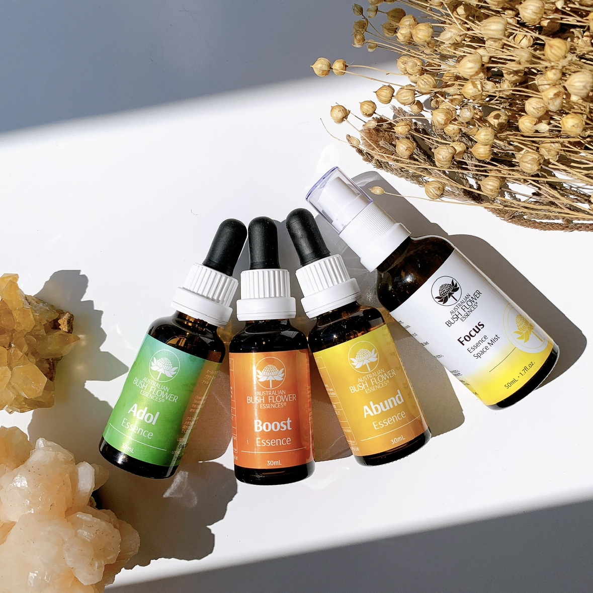 ブッシュ公認ティーチャー：中村裕恵医師によるレベル1 ワークショップ2026