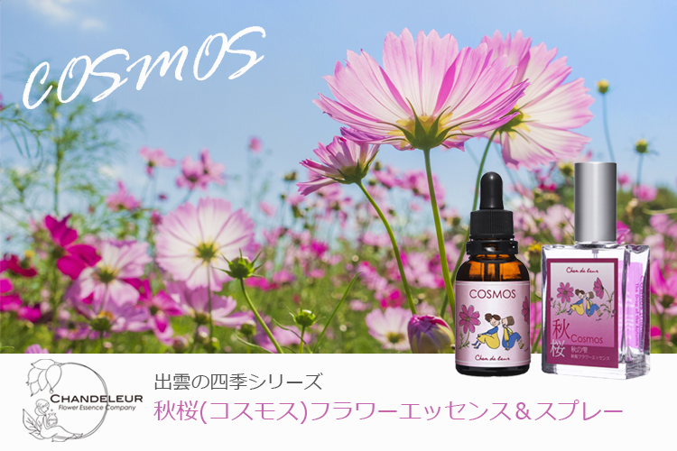 ブッシュフラワー エッセンスクリーム ウーマン(50ml)