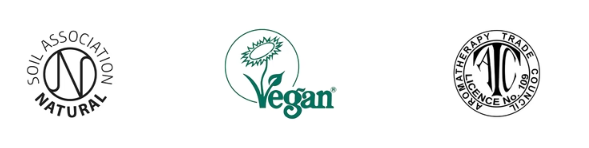 大カテゴリー名